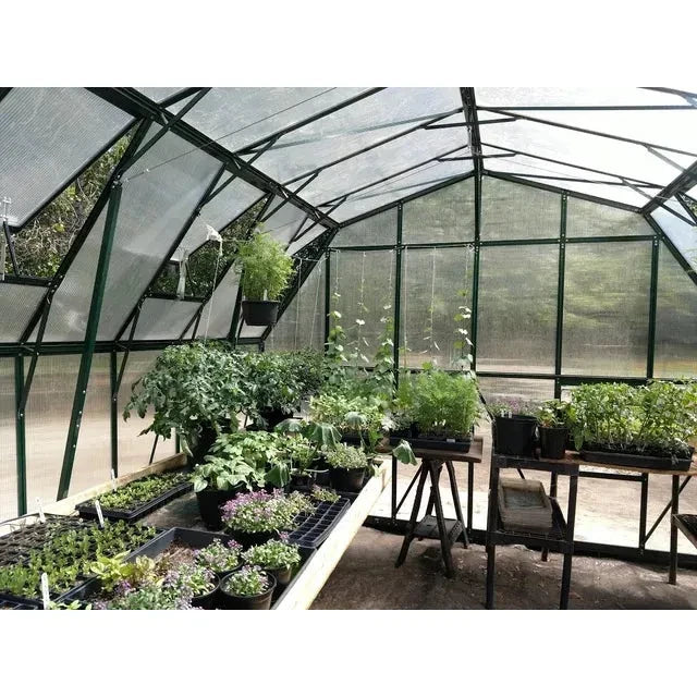 Grandio Greenhouse - Summit 12×20